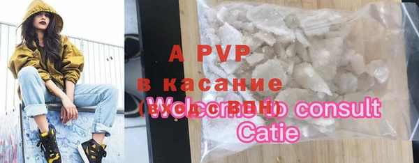 стаф Абаза