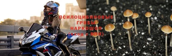 амф Алексеевка