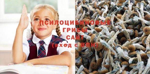 амф Алексеевка