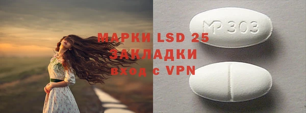 ГАЛЛЮЦИНОГЕННЫЕ ГРИБЫ Алзамай