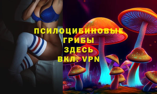 амф Алексеевка