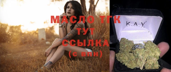 стаф Новодвинск