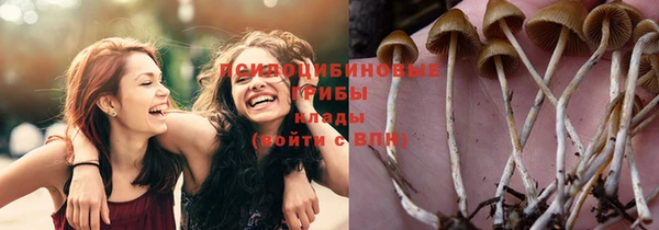 МДПВ Абдулино