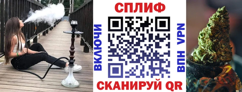 мега вход Шатура Конопля ГИДРОПОН купить закладку